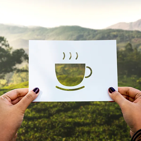 Prácticas de Café Sostenibles: Cómo Tu Taza Diaria Puede Hacer la Diferencia